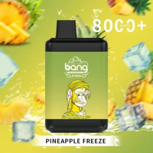 Bang King 8000 Puffs 0% 2% 3% 5% Nikotin eldobható Vape nagykereskedés - HelpVape - 20