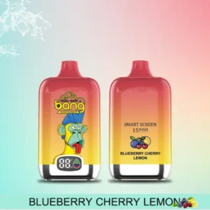 Bang King smartscreen 15000 sbuffi 0% 2% 3% 5% Vape monouso ricaricabile alla nicotina all'ingrosso - HelpVape - 9