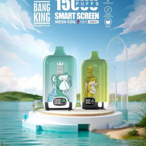 Bang King smartscreen 15000 Puffs 0% 2% 3% 5% Nicotina Recarregável Vape Descartável Atacado