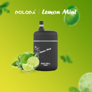 DOLODA Pebble 6500 Puffs 0% 2% 5% Nicotine Rechargeable Disposable Vape Wholesale 18 DOLODA Pebble 6500 Puffs 0% 2% 5% Nicotine Rechargeable Disposable Vape Wholesale - HelpVape - 18
