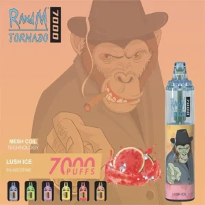 RandM Tornado 7000 Rookwolken 0% 2% 3% 5% Nicotine Wegwerp Vape Groothandel 12 RandM Tornado 7000 Rookwolken 0% 2% 3% 5% Nicotine Wegwerp Vape Groothandel - HelpVape - 12