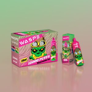 WASPE 12000 PUFFS 0% 2% 3% 5% Vape monouso alla nicotina all'ingrosso 25 WASPE 12000 PUFFS 0% 2% 3% 5% Vendita all'ingrosso di vaporizzatori monouso alla nicotina - HelpVape - 25