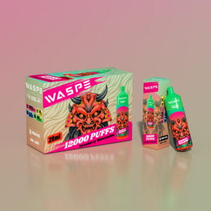 WASPE 12000 PUFFS 0% 2% 3% 5% Vape monouso alla nicotina all'ingrosso 24 WASPE 12000 PUFFS 0% 2% 3% 5% Vendita all'ingrosso di vaporizzatori monouso alla nicotina - HelpVape - 24
