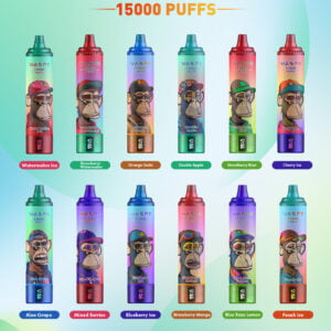 WASPE 15000 PUFFS 0% 2% 3% 5% Vape monouso alla nicotina all'ingrosso
