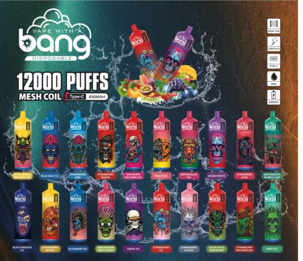 Bang Box 12000 Puffs 0% 2% 3% 5% Nicotina Recarregável Vape Descartável Atacado - HelpVape - 1