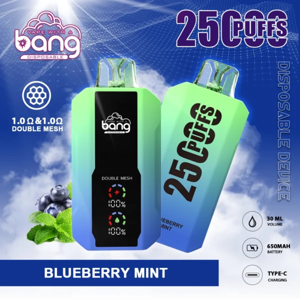 Bang 25000 Puffs 0% 2% 3% 5% Stylo vape jetable rechargeable à faible teneur en nicotine en vrac Acheter en gros - HelpVape - 11