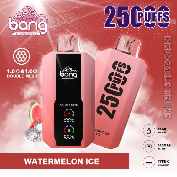 Bang 25000 Puffs 0% 2% 3% 5% Stylo vape jetable rechargeable à faible teneur en nicotine en vrac Acheter en gros - HelpVape - 5