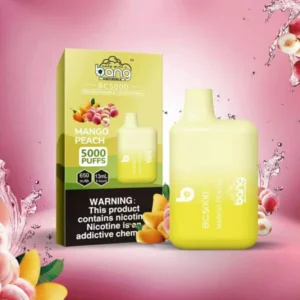 Bang BC 5000 Puffs 0% 2% 3% 5% Nikotyna Akumulator Jednorazowe Vapes Pen Luzem Kup hurtowo 24 Bang BC 5000 Puffs 0% 2% 3% 5% Nikotynowy akumulator Jednorazowy długopis Vapes Kup hurtowo - HelpVape - 24