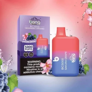 Bang BC 5000 Puffs 0% 2% 3% 5% Nikotynowy Akumulator Jednorazowy Vapes Pen Luzem Kup hurtowo 19 Bang BC 5000 Puffs 0% 2% 3% 5% Nikotynowe akumulatory jednorazowe Vapes Pen Luzem Kup hurtowo - HelpVape - 19