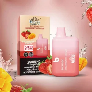 Bang BC 5000 Puffs 0% 2% 3% 5% Nikotyna Akumulator Jednorazowe Vapes Pen Luzem Kup hurtowo 22 Bang BC 5000 Puffs 0% 2% 3% 5% Nikotynowe akumulatory jednorazowe Vapes Pen Luzem Kup hurtowo - HelpVape - 22