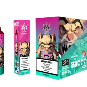 Bang Beach 22000 Puffs 0% 2% 3% 5% Alacsony nikotintartalmú újratölthető tömeges vásárlás Eldobható Vape toll nagykereskedés - HelpVape - 21