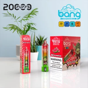 Bang Blaze 20000 Puffs 0% 2% 3% 5% Stylo à vape jetable rechargeable à faible teneur en nicotine en vrac Acheter en gros 21 Bang Blaze 20000 Puffs 0% 2% 3% 5% Stylo vape jetable rechargeable à faible teneur en nicotine en vrac Acheter en gros - HelpVape - 21