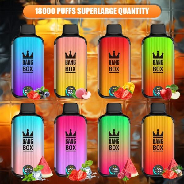 Bang Box 18000 Puffs LED Display Screen 0% 2% 3% 5% Low Nicotine Bulk Buy Rechargeable Disposable Vape Pen Wholesale - HelpVape - 1