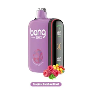 Bang Box Vape Rocket 18000 Puffs LED Display Screen 0% 2% 3% 5% Low Nicotine Disposable Vapes Bulk Buy Wholesale - HelpVape - 16