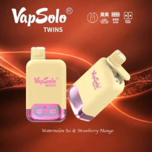 VapSolo Twins 20000 Puffs 2% 5% Baixa Nicotina Recarregável Vapes Canetas Descartáveis Comprar Atacado 27 VapSolo Twins 20000 Puffs 2% 5% Caneta Vapes Descartável Recarregável com Baixo Nicotina em Massa Compre no Atacado - HelpVape - 27