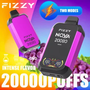 Fizzy Nova 20000 Puffs Dual Mesh 2% 5% Low Nicotine Rechargeable Disposable Vapes Pen Bulk Buy Wholesale - HelpVape - 8