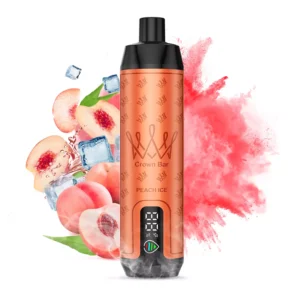 Al Fakhar Crown Bar 15000 Puffs DTL LED Display 2% Nikotinarm, wiederaufladbar, Einweg-Vapes, Pen, Großpackung, Großhandel kaufen – HelpVape – 20