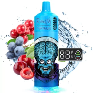 RahdM Tornado 25000 Puffs 2% Baixa Nicotina Recarregável Vapes Pen Bulk Comprar Atacado 36 RahdM Tornado 25000 Puffs 2% Caneta Vapes Descartáveis Recarregáveis com Baixo Nicotina em Massa Compre no Atacado - HelpVape - 36