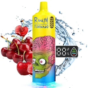 RahdM Tornado 25000 Puffs 2% Baixa Nicotina Recarregável Vapes Pen Bulk Comprar Atacado 48 RahdM Tornado 25000 Puffs 2% Caneta Vapes Descartáveis Recarregáveis com Baixo Nicotina em Massa Compre no Atacado - HelpVape - 48