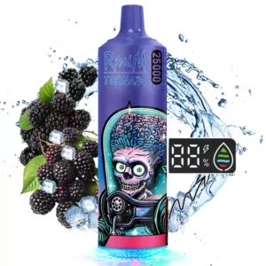 RahdM Tornado 25000 Puffs 2% Baixa Nicotina Recarregável Vapes Pen Bulk Comprar Atacado 32 RahdM Tornado 25000 Puffs 2% Caneta Vapes Descartável Recarregável com Baixo Nicotina em Massa Compre no Atacado - HelpVape - 32