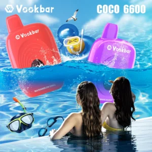 Vookbar Coco 6600 Puffs digitális intelligens képernyő 3% alacsony nikotintartalmú újratölthető, eldobható Vapes toll tömeges vásárlás nagykereskedelmi 17 Vookbar Coco 6600 Puffs digitális intelligens képernyő 3% alacsony nikotintartalmú újratölthető eldobható Vapes toll tömeges vásárlás nagykereskedés - HelpVape - 17