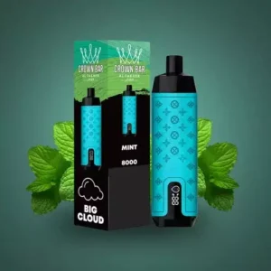 Al Fakher Crown Bar Pro 8000 Puffs Écran d'affichage LED Stylo à vape jetable rechargeable à faible teneur en nicotine Acheter en gros - Entrepôt européen Stock 13 Al Fakher Crown Bar Pro 8000 Puffs Écran d'affichage LED Stylo à vape jetable rechargeable à faible teneur en nicotine Acheter en gros - Stock d'entrepôt européen - HelpVape - 13