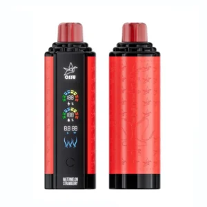 VASY OSSU 30000 Puff Shisha Narghilè Dual Mesh Schermo intero 0% 5% Penna per vaporizzatori usa e getta ricaricabile a basso contenuto di nicotina Bulk Acquista all'ingrosso - HelpVape - 10